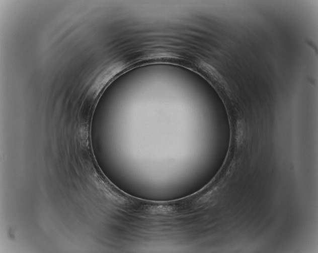 X0000103481321200809191850