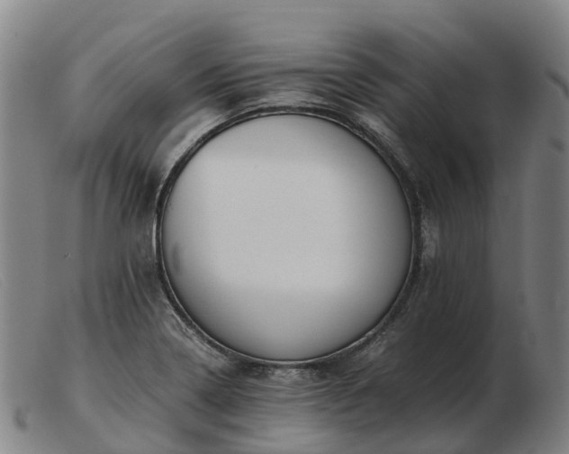 X0000103481322200809191850