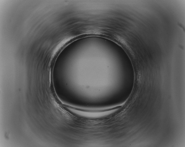 X0000103481323200809191850