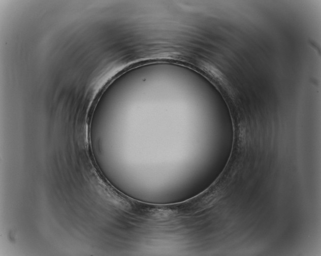 X0000103481324200809191850