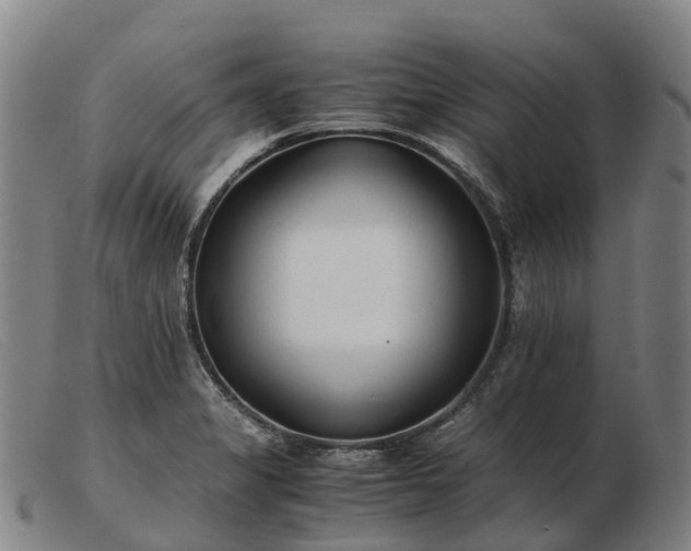 X0000103481325200809191850