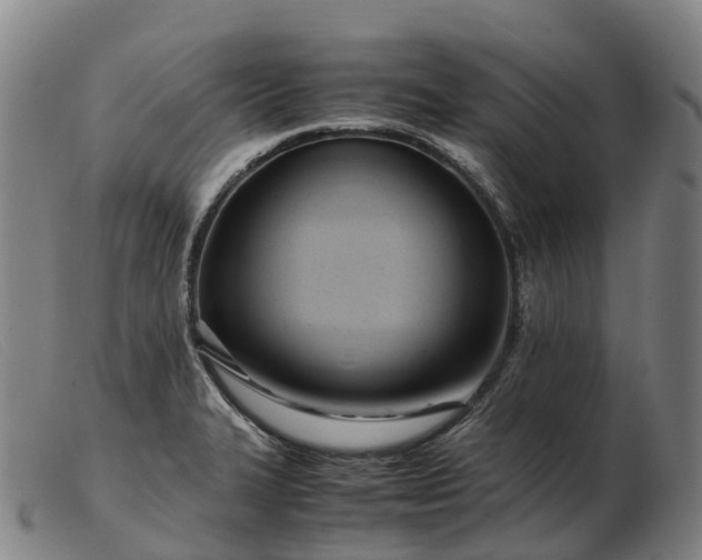 X0000103481327200809191850