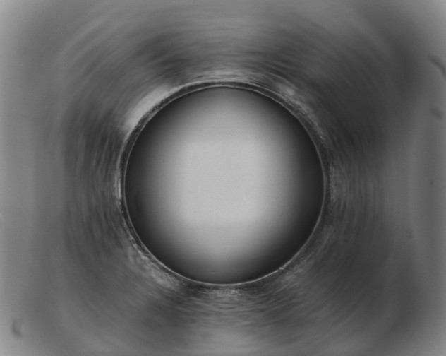 X0000103481328200809191850