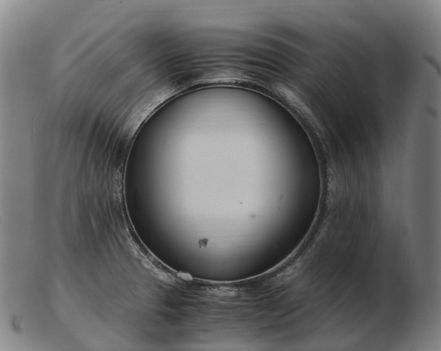 X0000103481329200809191850