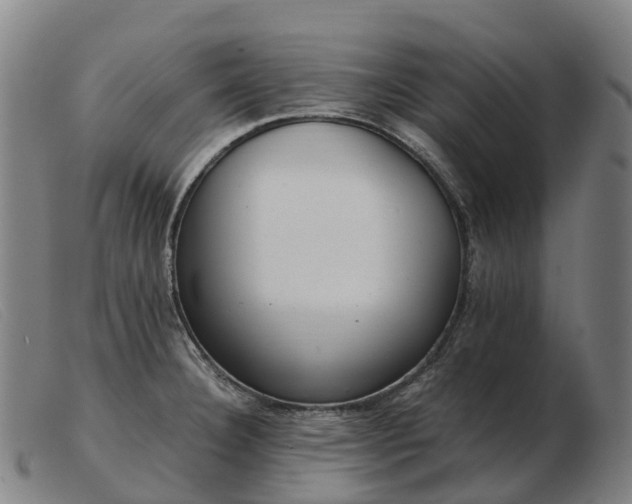 X0000103481332200809191850
