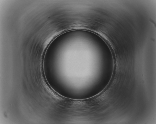 X0000103481333200809191850
