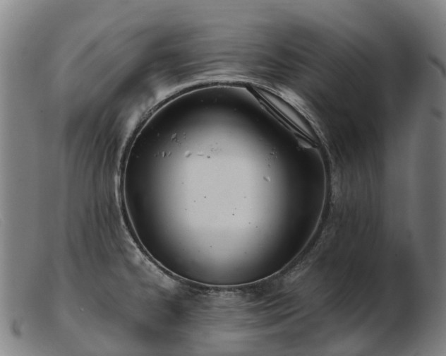X0000103481334200809191850