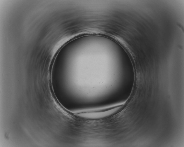 X0000103481335200809191850