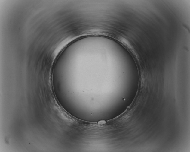 X0000103481336200809191850