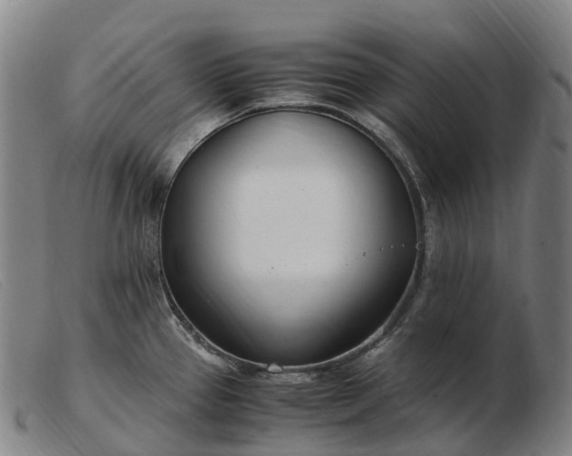 X0000103481337200809191850
