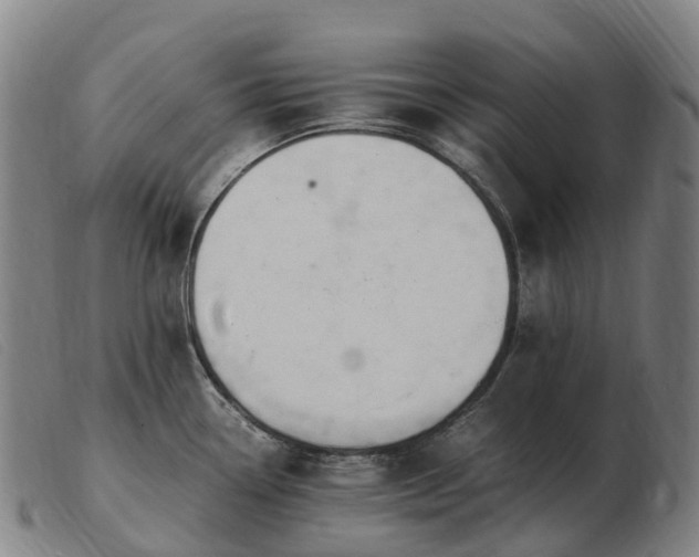 X0000103481338200809191850