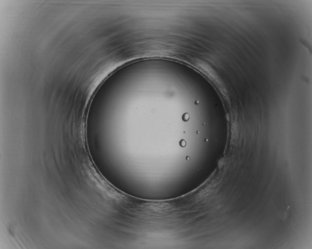 X0000103481340200809191850