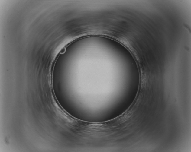 X0000103481342200809191850