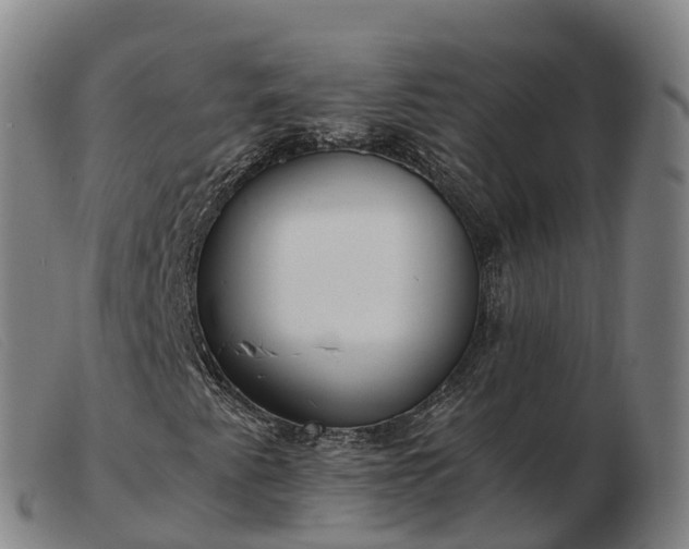 X0000103481345200809191849