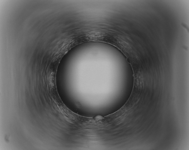 X0000103481346200809191849
