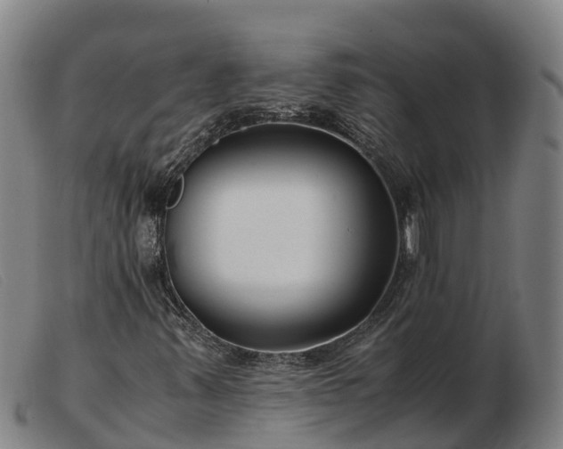 X0000103481347200809191849