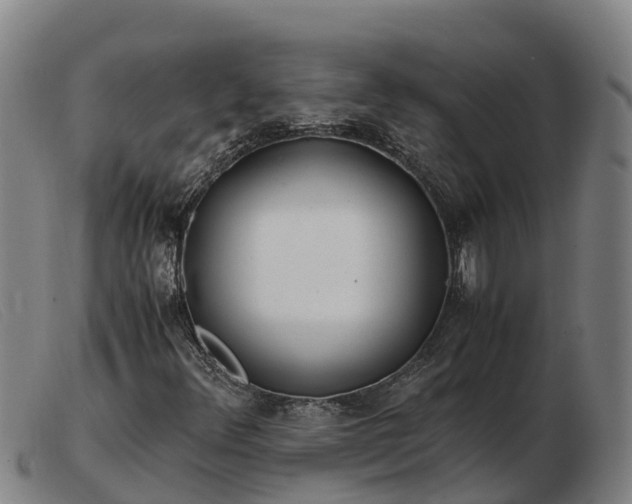 X0000103481348200809191849