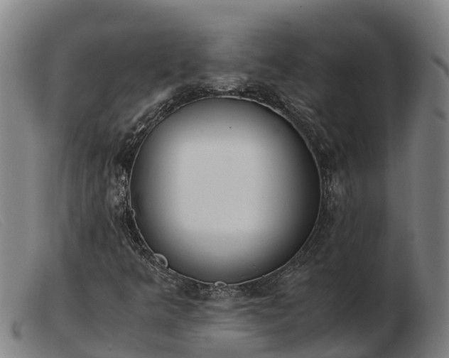 X0000103481349200809191849