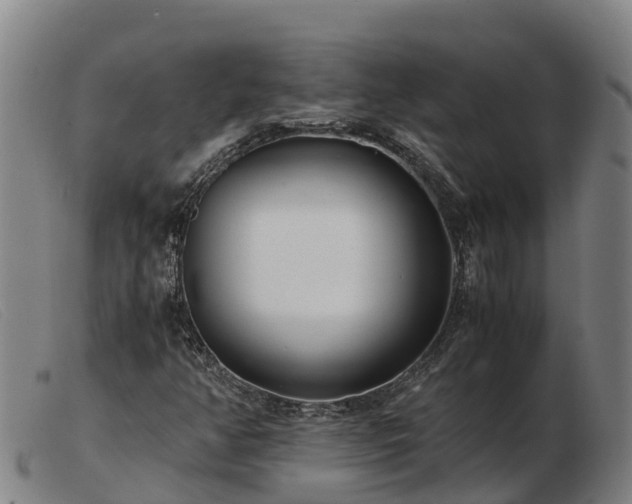 X0000103481350200809191849
