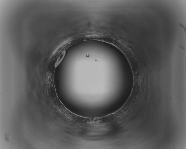 X0000103481351200809191849