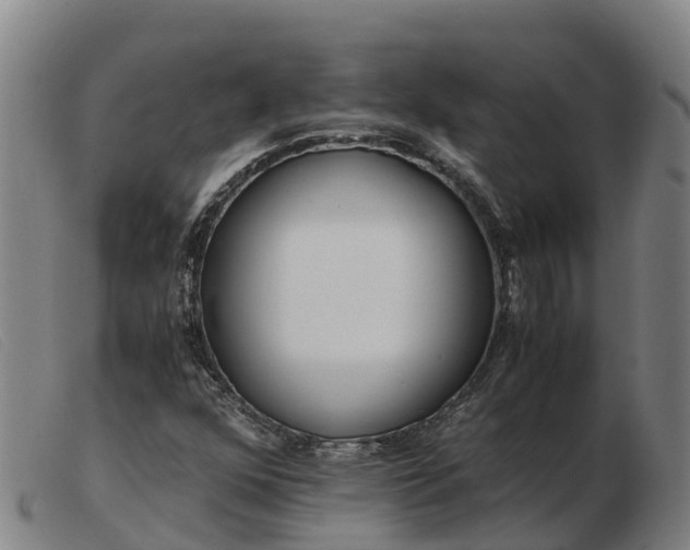 X0000103481352200809191849