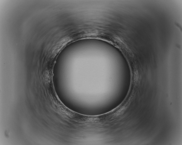 X0000103481353200809191849