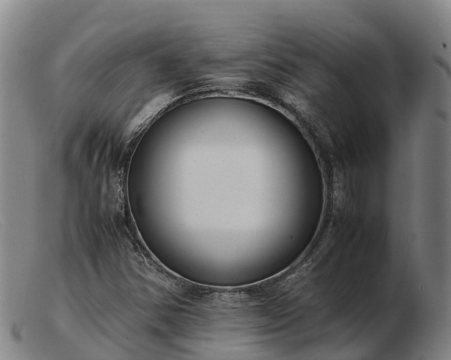 X0000103481354200809191849