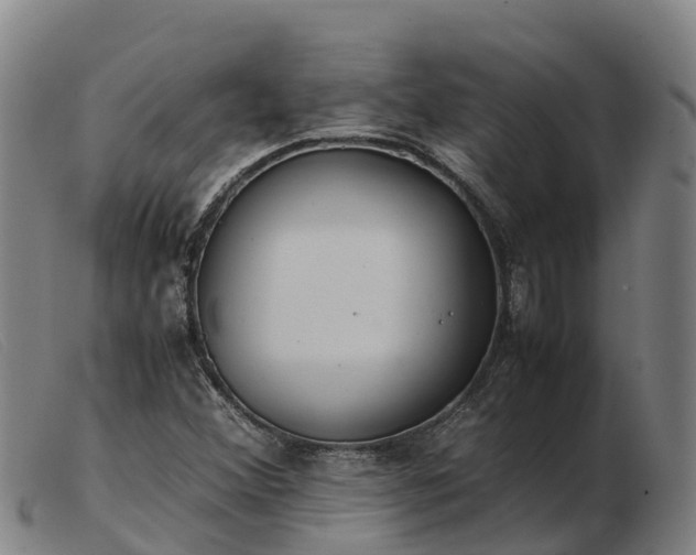 X0000103481356200809191849