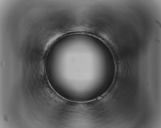 X0000103481358200809191849