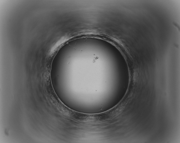 X0000103481359200809191849
