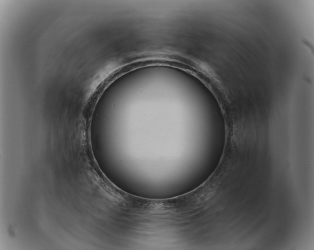 X0000103481360200809191849