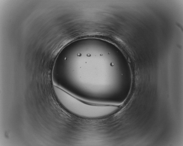 X0000103481361200809191849