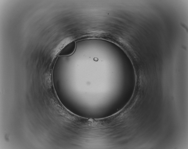 X0000103481362200809191849