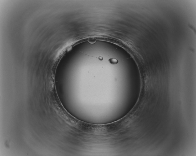X0000103481363200809191849
