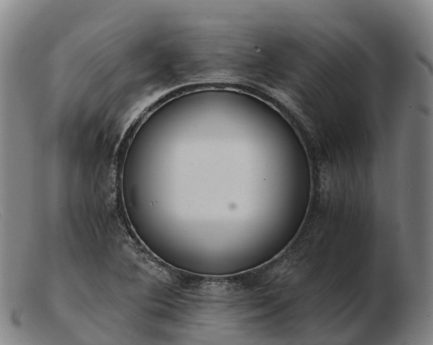 X0000103481364200809191849