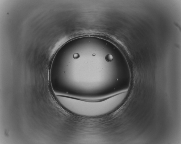 X0000103481365200809191849