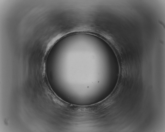 X0000103481366200809191849
