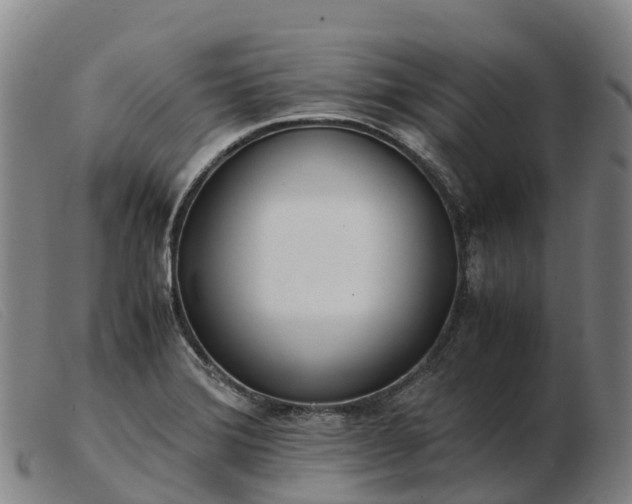 X0000103481372200809191849
