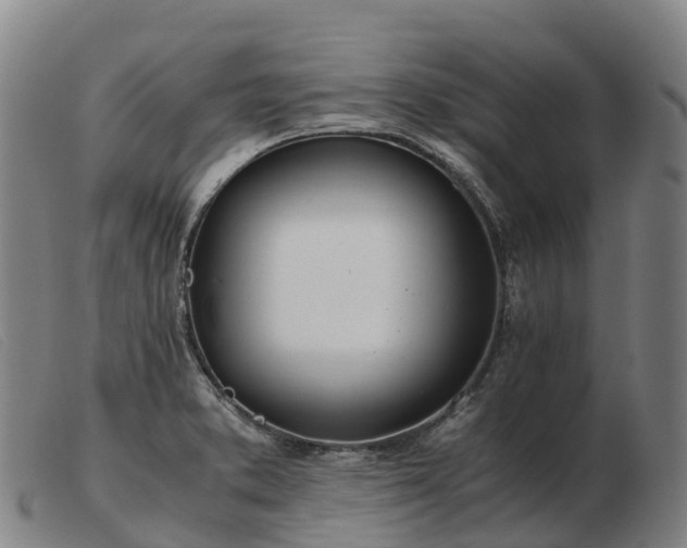 X0000103481373200809191849