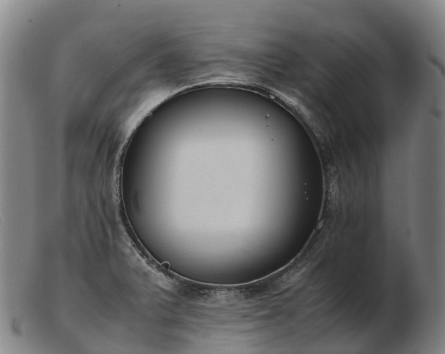 X0000103481375200809191849
