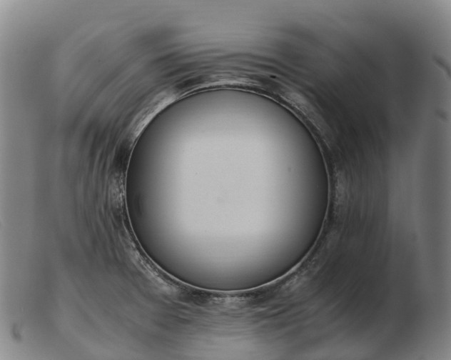 X0000103481377200809191849