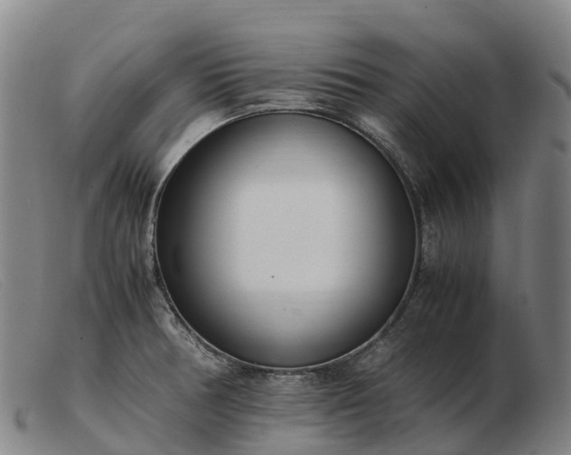 X0000103481378200809191849