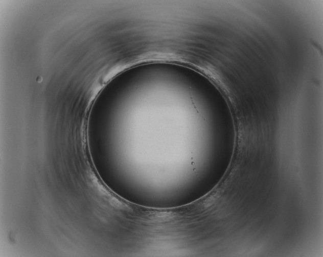 X0000103481382200809191849