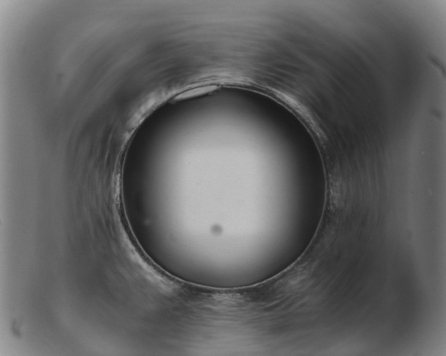 X0000103481383200809191849
