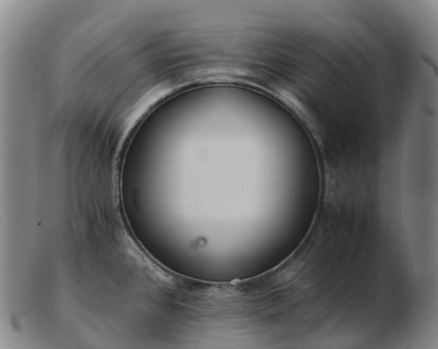 X0000103481384200809191849