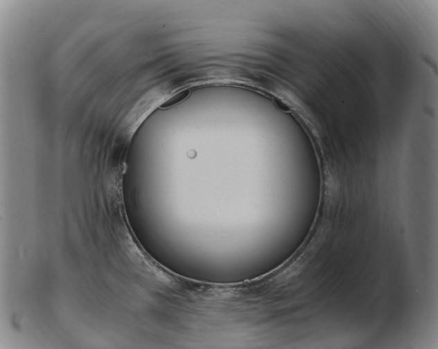 X0000103481385200809191849