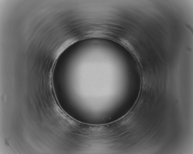 X0000103481386200809191849