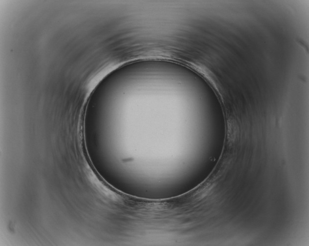 X0000103481387200809191849