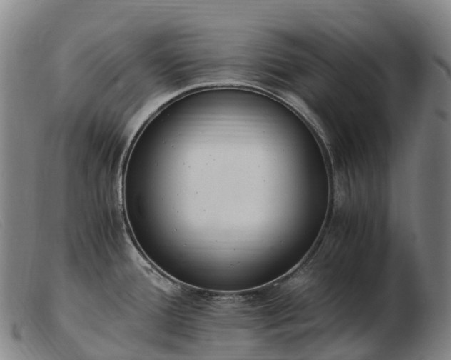 X0000103481388200809191849