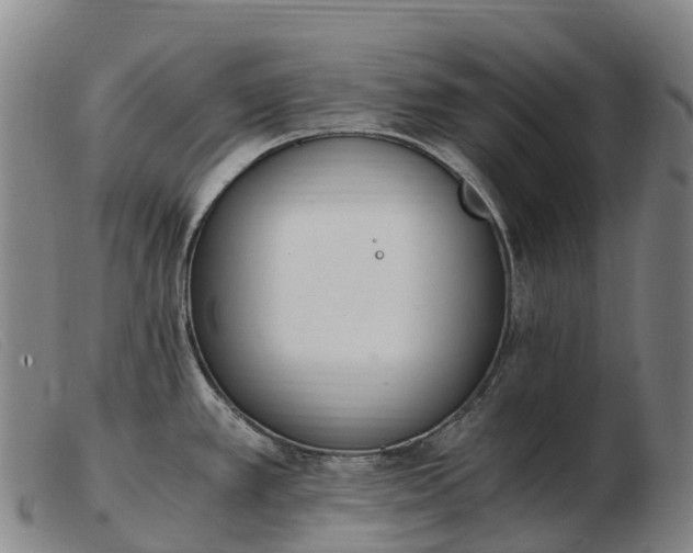 X0000103481389200809191849